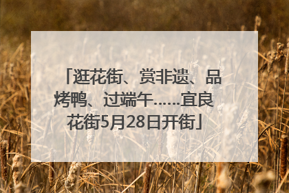 逛花街、赏非遗、品烤鸭、过端午……宜良花街5月28日开街