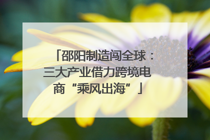 邵阳制造闯全球：三大产业借力跨境电商“乘风出海”