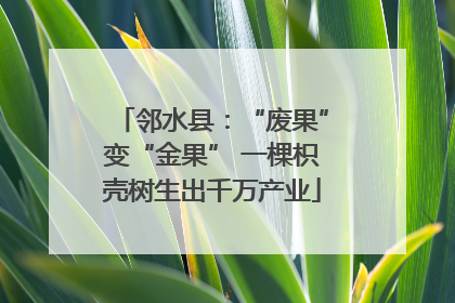 邻水县：“废果”变“金果” 一棵枳壳树生出千万产业