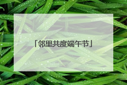 邻里共度端午节