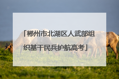 郴州市北湖区人武部组织基干民兵护航高考