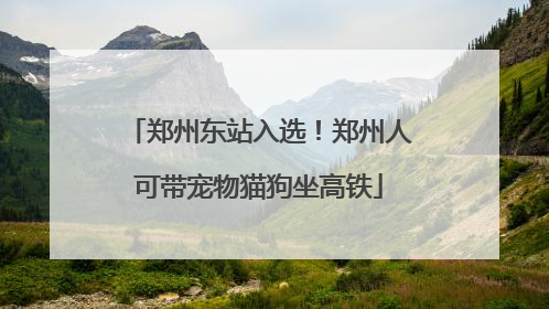 郑州东站入选！郑州人可带宠物猫狗坐高铁