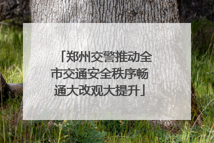郑州交警推动全市交通安全秩序畅通大改观大提升