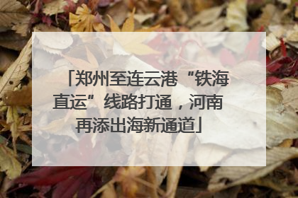 郑州至连云港“铁海直运”线路打通，河南再添出海新通道
