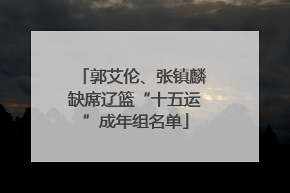 郭艾伦、张镇麟缺席辽篮“十五运”成年组名单