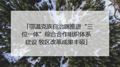 鄂温克族自治旗推进“三位一体”综合合作组织体系建设 牧区改革成果丰硕