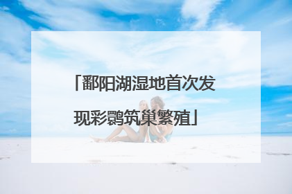 鄱阳湖湿地首次发现彩鹮筑巢繁殖