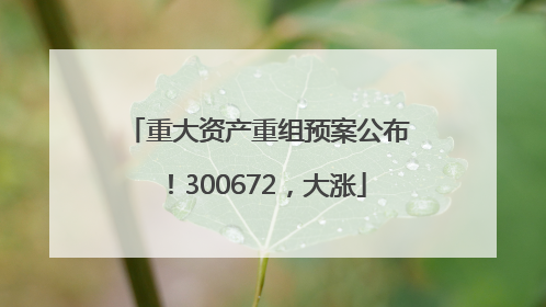 重大资产重组预案公布！300672，大涨