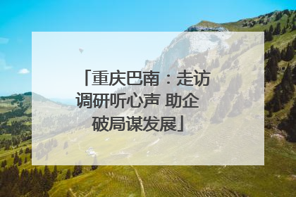 重庆巴南：走访调研听心声 助企破局谋发展