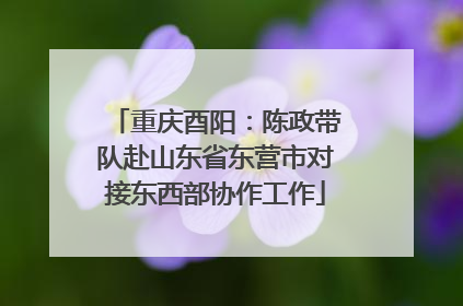 重庆酉阳：陈政带队赴山东省东营市对接东西部协作工作