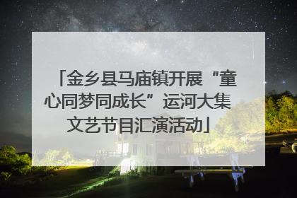 金乡县马庙镇开展“童心同梦同成长”运河大集文艺节目汇演活动