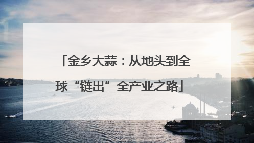 金乡大蒜：从地头到全球“链出”全产业之路