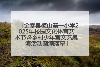 金寨县梅山第一小学2025年校园文化体育艺术节暨乡村少年宫文艺展演活动圆满落幕
