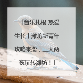 音乐扎根 热爱生长丨潍坊新青年攻略来袭，三天两夜玩转潍坊！