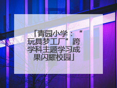 青园小学：“玩具梦工厂”跨学科主题学习成果闪耀校园