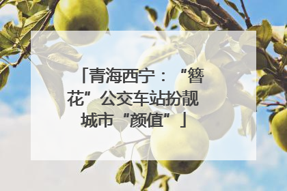 青海西宁：“簪花”公交车站扮靓城市“颜值”