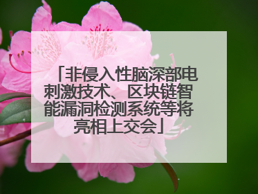 非侵入性脑深部电刺激技术、区块链智能漏洞检测系统等将亮相上交会