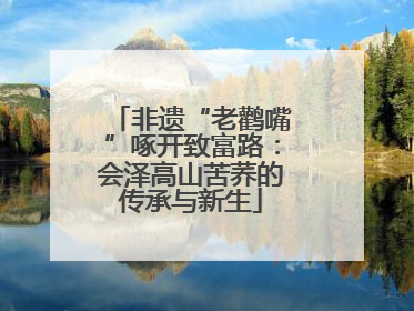 非遗“老鹳嘴”啄开致富路：会泽高山苦荞的传承与新生