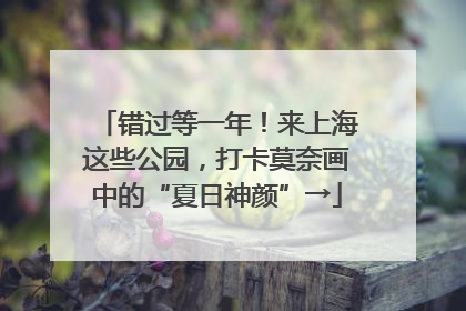 错过等一年！来上海这些公园，打卡莫奈画中的“夏日神颜”→