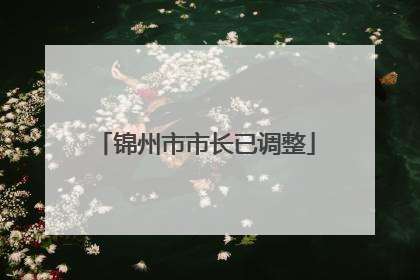 锦州市市长已调整