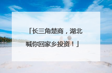 长三角楚商，湖北喊你回家乡投资！