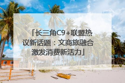 长三角C9+联盟热议新话题：文商旅融合激发消费新活力