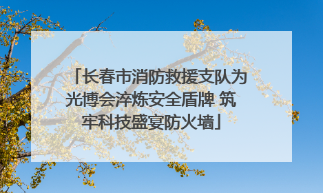 长春市消防救援支队为光博会淬炼安全盾牌 筑牢科技盛宴防火墙