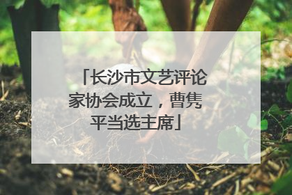 长沙市文艺评论家协会成立，曹隽平当选主席