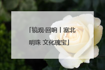 镜观·回响丨塞北明珠 文化瑰宝