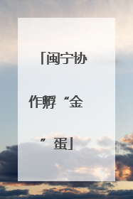闽宁协作孵“金”蛋