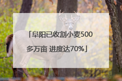 阜阳已收割小麦500多万亩 进度达70%