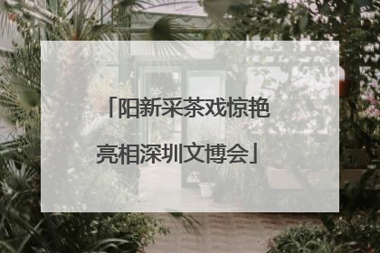 阳新采茶戏惊艳亮相深圳文博会