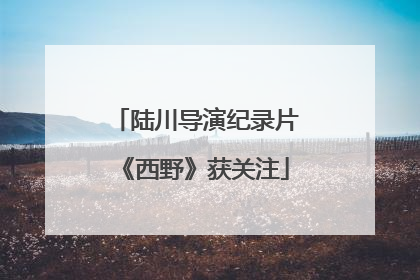 陆川导演纪录片《西野》获关注