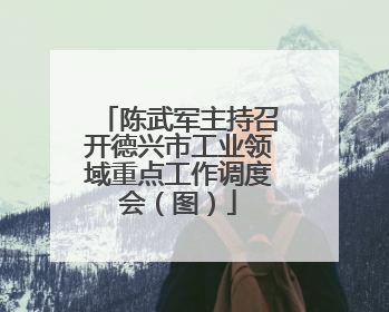 陈武军主持召开德兴市工业领域重点工作调度会（图）