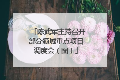 陈武军主持召开部分领域重点项目调度会（图）