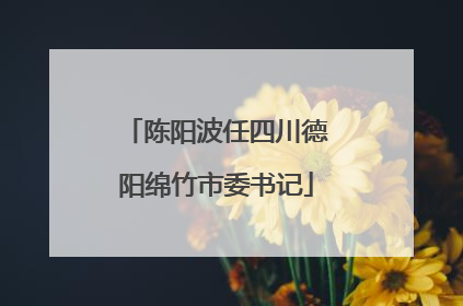 陈阳波任四川德阳绵竹市委书记
