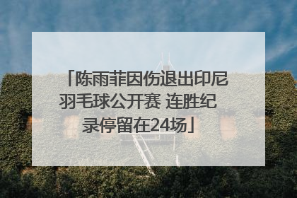陈雨菲因伤退出印尼羽毛球公开赛 连胜纪录停留在24场