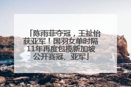 陈雨菲夺冠，王祉怡获亚军！国羽女单时隔11年再度包揽新加坡公开赛冠、亚军