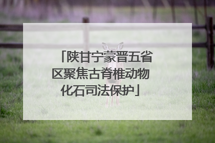 陕甘宁蒙晋五省区聚焦古脊椎动物化石司法保护