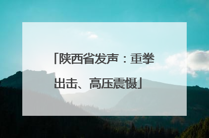 陕西省发声：重拳出击、高压震慑