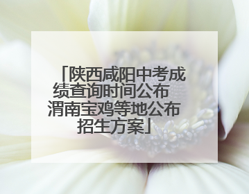 陕西咸阳中考成绩查询时间公布 渭南宝鸡等地公布招生方案