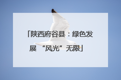 陕西府谷县：绿色发展 “风光”无限