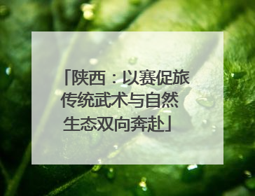 陕西：以赛促旅 传统武术与自然生态双向奔赴