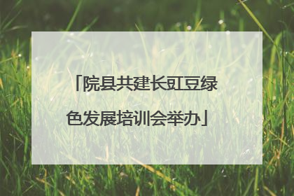 院县共建长豇豆绿色发展培训会举办