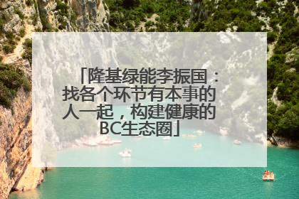 隆基绿能李振国：找各个环节有本事的人一起，构建健康的BC生态圈