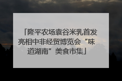隆平农场袁谷米乳首发亮相中非经贸博览会“味道湖南”美食市集