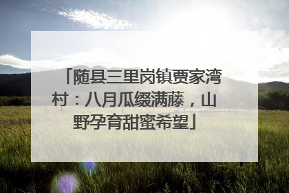 随县三里岗镇贾家湾村：八月瓜缀满藤，山野孕育甜蜜希望