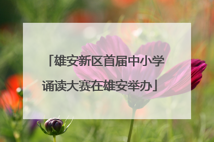 雄安新区首届中小学诵读大赛在雄安举办