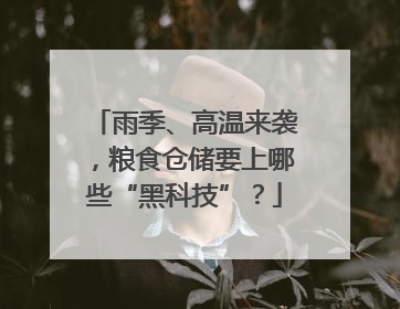 雨季、高温来袭，粮食仓储要上哪些“黑科技”？