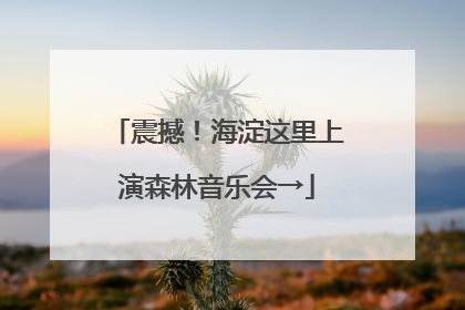 震撼！海淀这里上演森林音乐会→